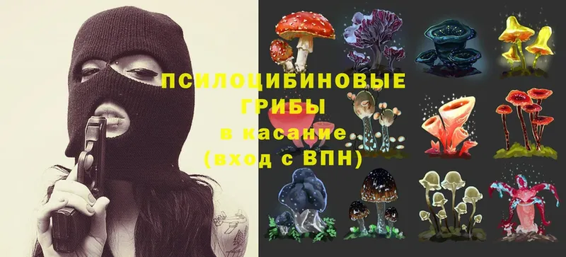 Псилоцибиновые грибы MAGIC MUSHROOMS  как найти   блэк спрут как зайти  Богучар 